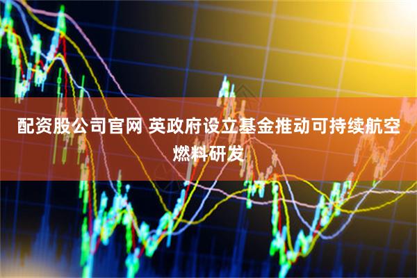 配资股公司官网 英政府设立基金推动可持续航空燃料研发